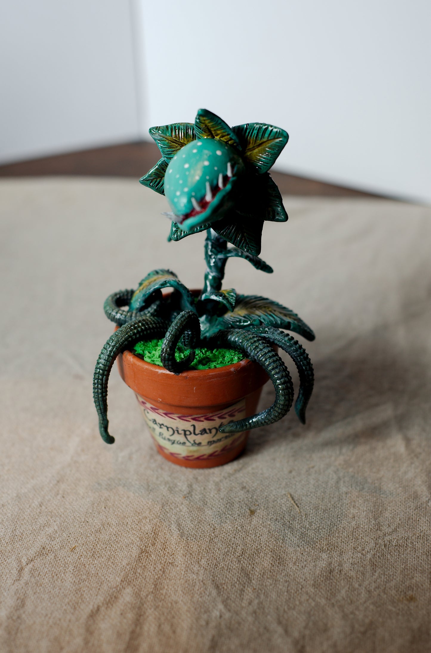 Carniplante Turquoise